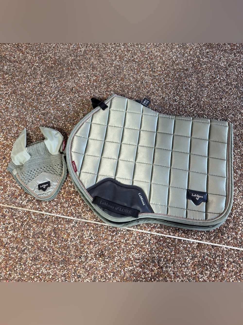 LeMieux Fern Loire Large Set